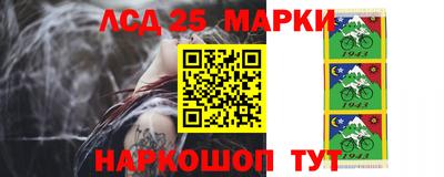 гашик Лесосибирск