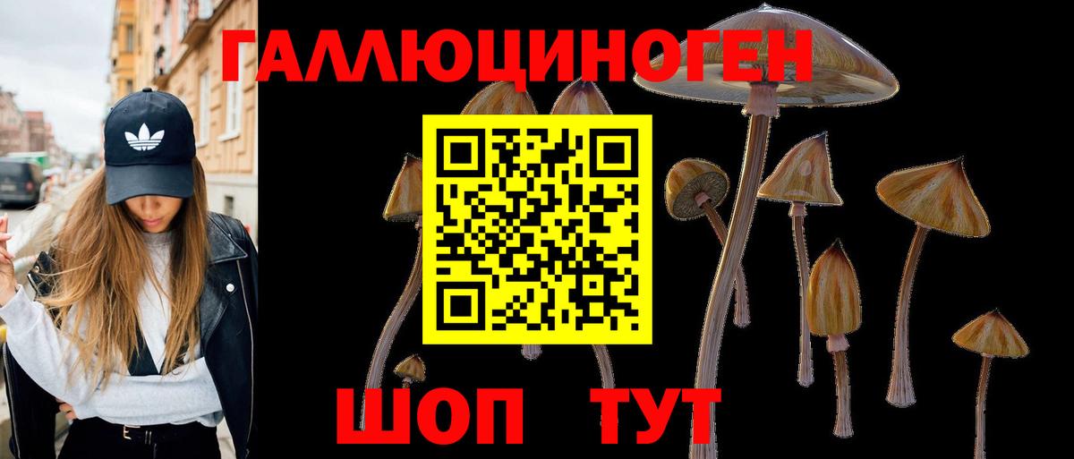 Галлюциногенные грибы GOLDEN TEACHER Ухта